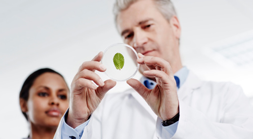 以研发创新 领行业之先