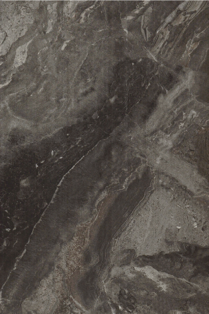 苍柏劲影 / 尼罗灰/ 6111